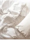 Bedding Market Growth, Size, Trends, Analysis Report by Type, Application, Region and Segment Forecast 2021-2025