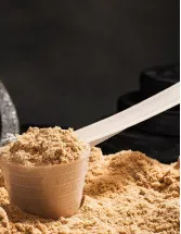 Protein Supplements Market Analysis North America, Europe, APAC, South America, Middle East and Africa - US, China, France, Germany, Russia - Size and Forecast 2024-2028