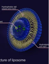 Liposomal Products Market Analysis North America, Europe, Asia, Rest of World (ROW) - US, Germany, China, France, Japan - Size and Forecast 2024-2028