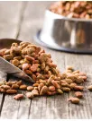 Frozen And Freeze Dried Pet Food Market Analysis North America, Europe, APAC, South America, Middle East and Africa - US, UK, Canada, Germany, China, Brazil, France, India, Japan, Australia - Size and Forecast 2025-2029