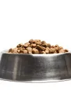 Dog Food Market Analysis North America, Europe, APAC, Middle East and Africa, South America - US, China, Japan, Brazil, France - Size and Forecast 2024-2028