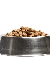 Dog Food Market Analysis North America, Europe, APAC, Middle East and Africa, South America - US, China, Japan, Brazil, France - Size and Forecast 2024-2028