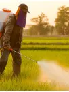 Pesticide Market Analysis India - Size and Forecast 2024-2028