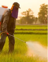 Pesticide Market Analysis India - Size and Forecast 2024-2028