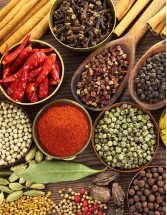 India Blended Spices Market Analysis - Size and Forecast 2024-2028