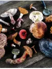 Medicinal Mushrooms Market Analysis APAC, North America, Europe, South America, Middle East and Africa - US, China, Japan, Germany, Canada - Size and Forecast 2024-2028