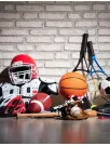 Sports Equipment Market Analysis APAC, Europe, North America, South America, Middle East and Africa - US, China, Germany, Japan, Canada - Size and Forecast 2024-2028