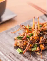 Edible Insects Market Analysis APAC, North America, Europe, Middle East and Africa, South America - US, China, Thailand, UK, South Korea - Size and Forecast 2024-2028