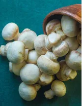 Mushroom Market Analysis Europe, APAC, North America, South America, Middle East and Africa - China, US, The Netherlands, Japan, Canada - Size and Forecast 2024-2028