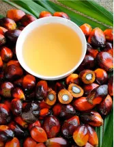 Palm Oil Market Analysis APAC, Middle East and Africa, Europe, North America, South America - Indonesia, India, China, Pakistan, Malaysia - Size and Forecast 2024-2028