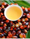 Palm Oil Market Analysis APAC, Middle East and Africa, Europe, North America, South America - Indonesia, India, China, Pakistan, Malaysia, Saudi Arabia, UAE, Qatar, UK, Germany - Size and Forecast 2025-2029