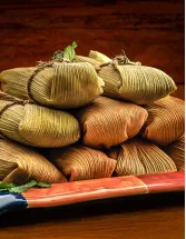 Packaged Tamales Market Analysis North America, Europe, APAC, South America, Middle East and Africa - Mexico, US, The Philippines, Spain, UK - Size and Forecast 2024-2028