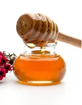 Manuka Honey Market Analysis APAC, Europe, North America, South America, Middle East and Africa - China, US, New Zealand, Argentina, Japan, Canada, India, Australia, UK, Germany - Size and Forecast 2024-2028