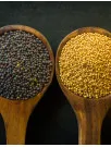 Oilseeds Market Analysis North America, APAC, Europe, South America, Middle East and Africa - US, China, India, Germany, Brazil - Size and Forecast 2024-2028