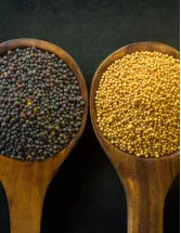 Oilseeds Market Analysis North America, APAC, Europe, South America, Middle East and Africa - US, China, India, Germany, Brazil - Size and Forecast 2024-2028