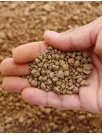 Phosphate Market Analysis APAC, North America, Europe, South America, Middle East and Africa - US, China, India, Russia, Japan, Germany, Brazil, Canada, Argentina, Saudi Arabia - Size and Forecast 2024-2028