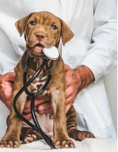 Canine Atopic Dermatitis Market Analysis North America, Europe, Asia, Rest of World (ROW) - US, Canada, China, Germany, UK, Japan, France, India, Italy, South Korea - Size and Forecast 2024-2028