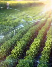 US Agricultural Irrigation Machinery Market Analysis - Size and Forecast 2024-2028