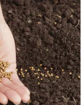 Colombia Seed Market Analysis - Size and Forecast 2024-2028