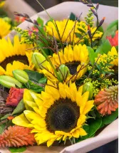Sunflower Market Analysis Europe, APAC, South America, North America, Middle East and Africa - Russia, Ukraine, Argentina, China, Romania - Size and Forecast 2024-2028