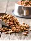 Argentina Pet Food Market Analysis - Size and Forecast 2024-2028