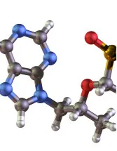 Arachidonic Acid Market Analysis North America - Size and Forecast 2024-2028