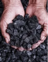 Japan Coal Market Analysis - Size and Forecast 2024-2028