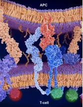 CTLA4 (Cytotoxic T-Lymphocyte-Associated Protein 4) Inhibitors Market Analysis North America, Europe, Asia, Rest of World (ROW) - US, Canada, Germany, UK, China - Size and Forecast 2024-2028