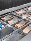 Seafood Processing Equipment Market Analysis APAC, Europe, North America, South America, Middle East and Africa - China, US, Spain, Indonesia, Canada - Size and Forecast 2024-2028