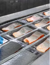 Seafood Processing Equipment Market Analysis APAC, Europe, North America, South America, Middle East and Africa - China, US, Spain, Indonesia, Canada - Size and Forecast 2024-2028