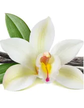 Vanilla Market Analysis North America, APAC, Europe, South America, Middle East and Africa - US, Indonesia, France, China, UK - Size and Forecast 2024-2028