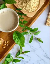 Isoflavones Market Analysis North America, APAC, Europe, South America, Middle East and Africa - US, China, Germany, Japan - Size and Forecast 2024-2028