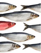 Herring Market Analysis Europe, North America, APAC, South America, Middle East and Africa - US, China, Japan, Canada, Russia, India, Norway, South Korea, Denmark, The Netherlands - Size and Forecast 2024-2028