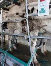 Automatic Milking Machines Market Analysis Europe, North America, APAC, South America, Middle East and Africa - US, China, Germany, Canada, The Netherlands - Size and Forecast 2024-2028