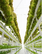 Vertical Farming Technologies Market Analysis Europe, APAC, North America, South America, Middle East and Africa - US, The Netherlands, Japan, China, Canada - Size and Forecast 2024-2028