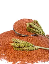 Finger Millet Market Analysis APAC, Middle East and Africa, Europe, South America, North America - India, Russia, China - Size and Forecast 2024-2028