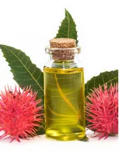 Castor Oil And Its Derivatives Market Analysis APAC, Europe, North America, South America, Middle East and Africa - China, India, Brazil, US, France - Size and Forecast 2024-2028