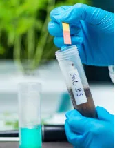 Environmental Testing Market Analysis North America, Europe, APAC, South America, Middle East and Africa - US, China, Germany, UK, Japan, India, Canada, France, South Korea, Italy - Size and Forecast 2024-2028