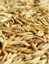 Forage Seed Market Analysis UK - Size and Forecast 2024-2028