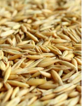 Forage Seed Market in the UK by Crop Type and Product - Forecast and Analysis 2022-2026