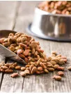 Pet Food Market Analysis Russia - Size and Forecast 2024-2028