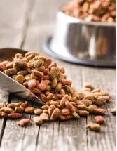 Pet Food Market Analysis Russia - Size and Forecast 2024-2028