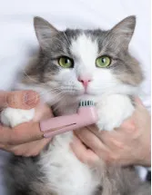 Pet Oral Care Products Market Analysis North America, Europe, APAC, South America, Middle East and Africa - US, Germany, UK, China, Canada - Size and Forecast 2024-2028