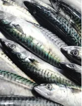 Mackerel Market by Product and Geography - Forecast and Analysis 2022-2026