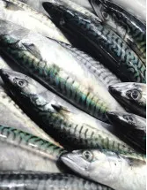 Mackerel Market Analysis APAC, Europe, North America, South America, Middle East and Africa - Japan, US, UK, China, Norway, Russia, Canada, India, South Korea, Germany - Size and Forecast 2024-2028