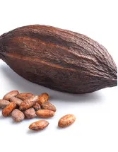 Cocoa Beans Market Analysis Europe, North America, APAC, South America, Middle East and Africa - US, The Netherlands, Germany, France, Indonesia - Size and Forecast 2024-2028