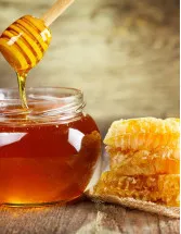 Honey Powder Market Analysis North America, APAC, Europe, South America, Middle East and Africa - US, China, India, Canada, Germany, UK, Japan, France, Italy, Turkey - Size and Forecast 2024-2028