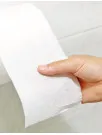 Toilet Paper Market Analysis North America, Europe, APAC, South America, Middle East and Africa - US, China, Canada, Germany, India, Japan, Italy, UK, France, Brazil - Size and Forecast 2025-2029