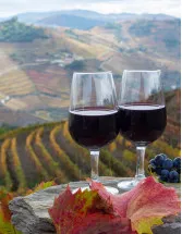 Port Wine Market Analysis Europe, North America, APAC, South America, Middle East and Africa - US, Germany, UK, China, Japan, France, Canada, India, Australia, Russia - Size and Forecast 2024-2028