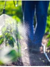 Organic Pesticides Market Analysis North America, Europe, APAC, South America, Middle East and Africa - US, Canada, Germany, China, UK, Japan, France, Italy, India, South Korea - Size and Forecast 2024-2028